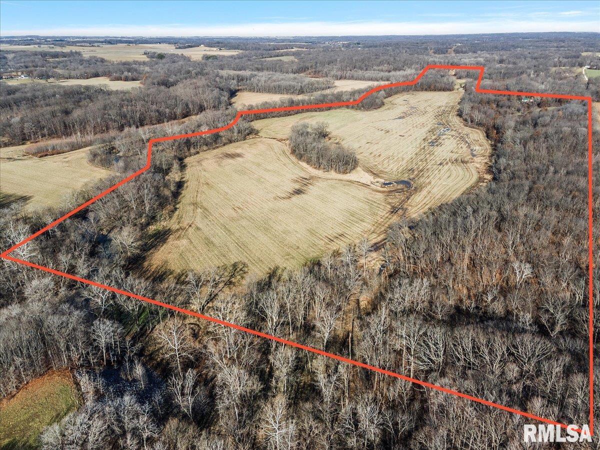 201 North 700 E Road Herrick, IL 62431 - Photo 6 of 23