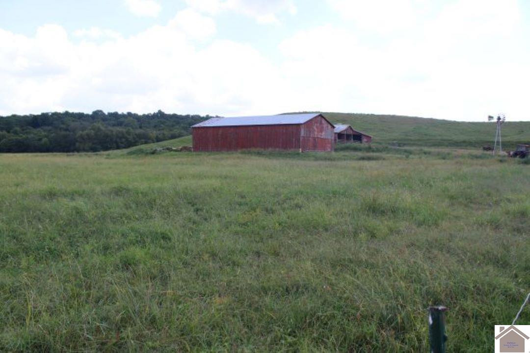 1000 Slaughter Road Benton, KY 42025 - Photo 1 of 6 Farm Land