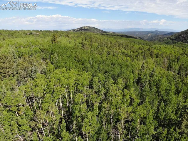 a view of a lush green outdoor space with a lake view