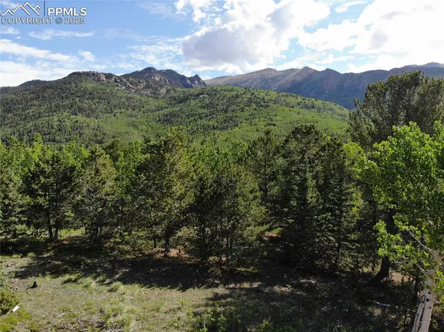 a view of a forest with a mountain in the background