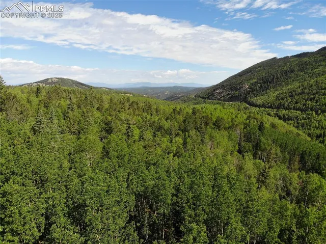 a view of a lush green hillside and houses