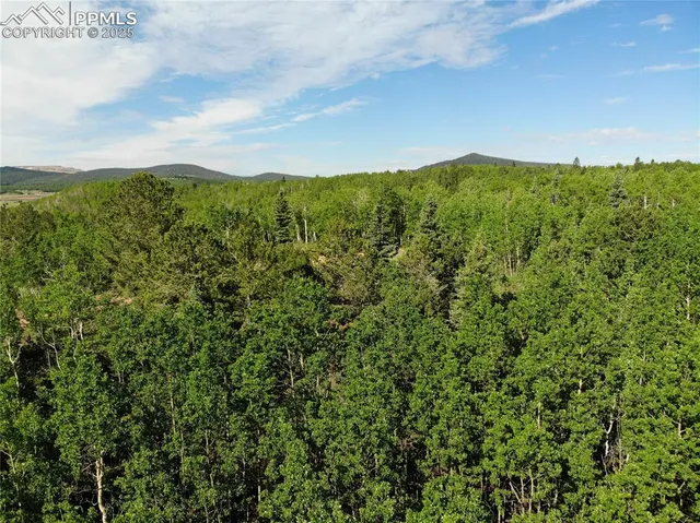 a view of a lush green hillside and a building in the background