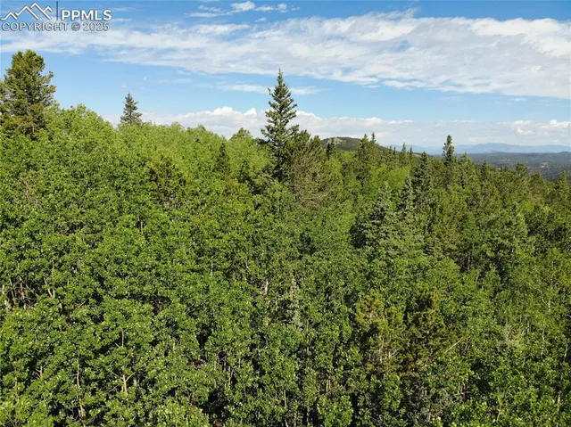 a view of a green field with lots of bushes