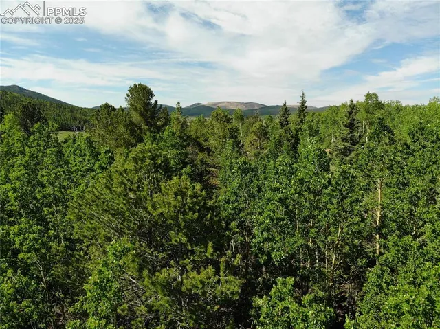 a view of a yard with a tree