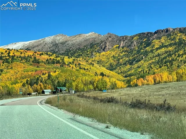 a view of a yard with wooden fence