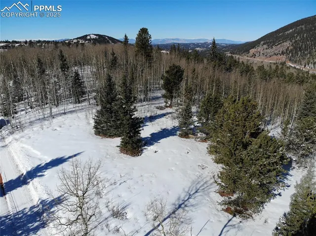 a view of a dry yard with trees in the background