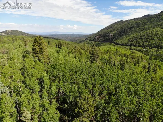 a view of a city with lush green forest