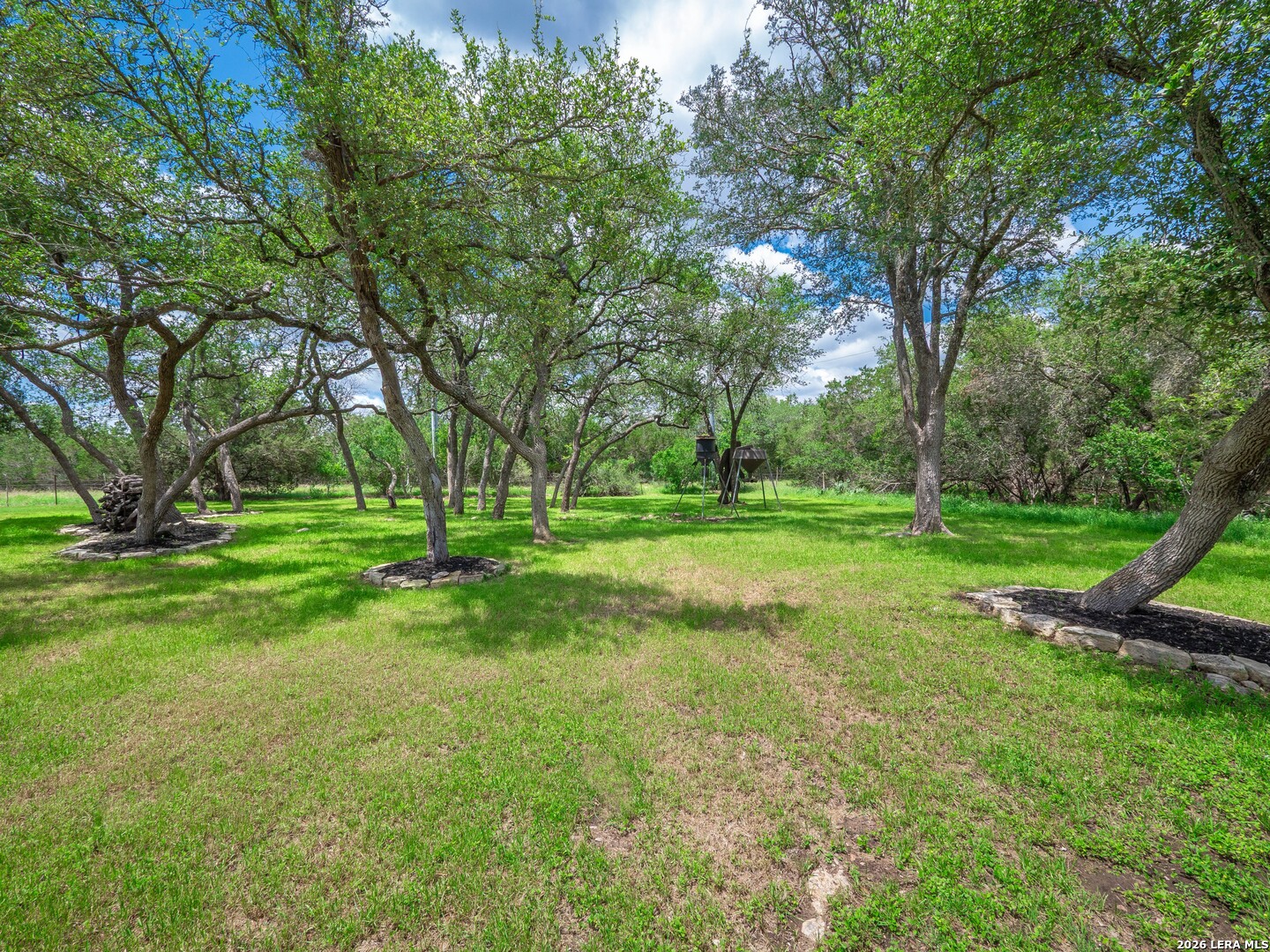 24607 Ripple Way San Antonio, TX 78266 - Photo 59 of 64