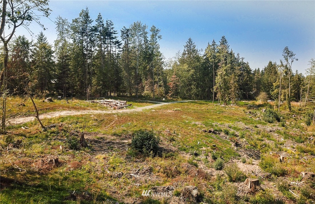 0 East Goforth Road Sequim, WA 98382 - Photo 3 of 13