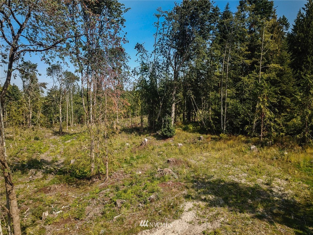 0 East Goforth Road Sequim, WA 98382 - Photo 4 of 13