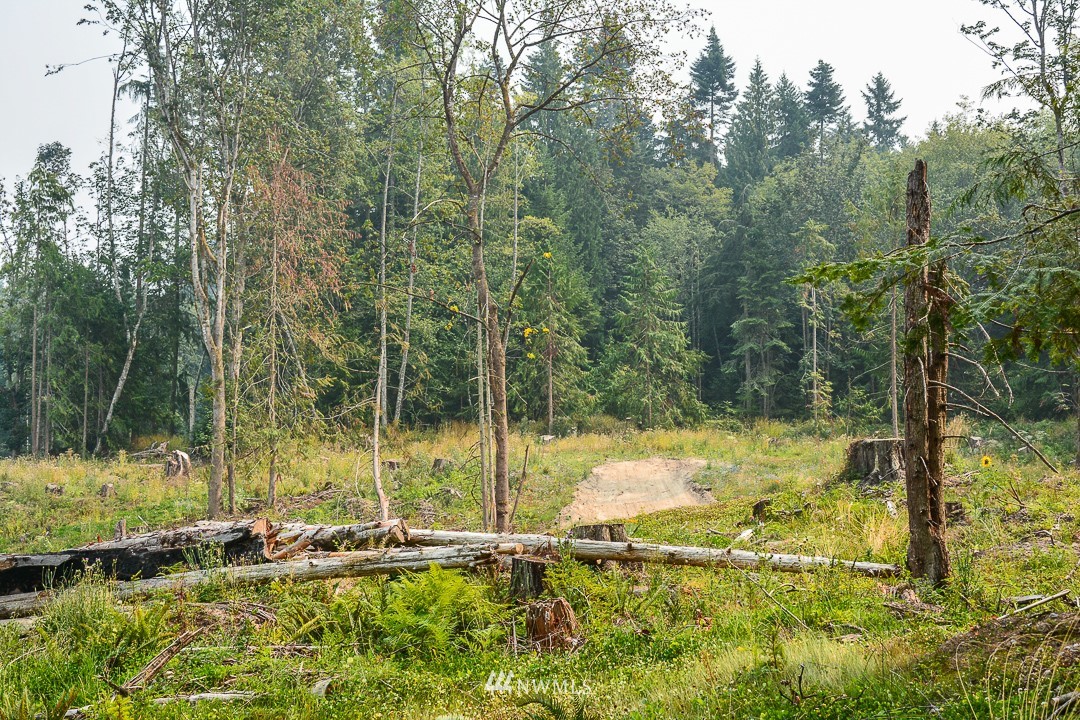 0 East Goforth Road Sequim, WA 98382 - Photo 9 of 13