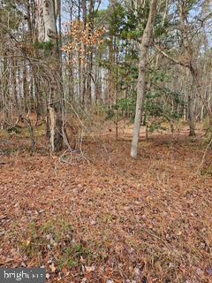 Abell Road Avenue, MD 20609 - Photo 1 of 2 Gallery Image 1