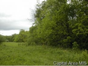 11 Rohrer Meadows Waverly, IL 62692 - Photo 2 of 7