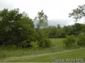 11 Rohrer Meadows Waverly, IL 62692 - Photo 4 of 7