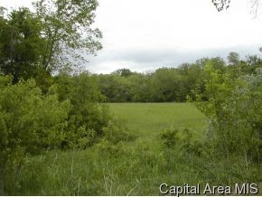 11 Rohrer Meadows Waverly, IL 62692 - Photo 5 of 7
