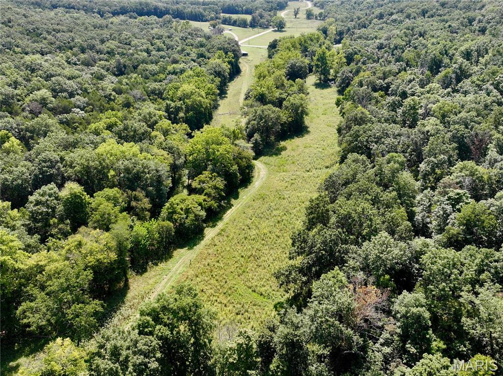 1921 Tanglefoot Farms Road Festus, MO 63028 - Photo 2 of 12 Gallery Image 2