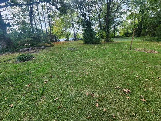 a view of a lush green space
