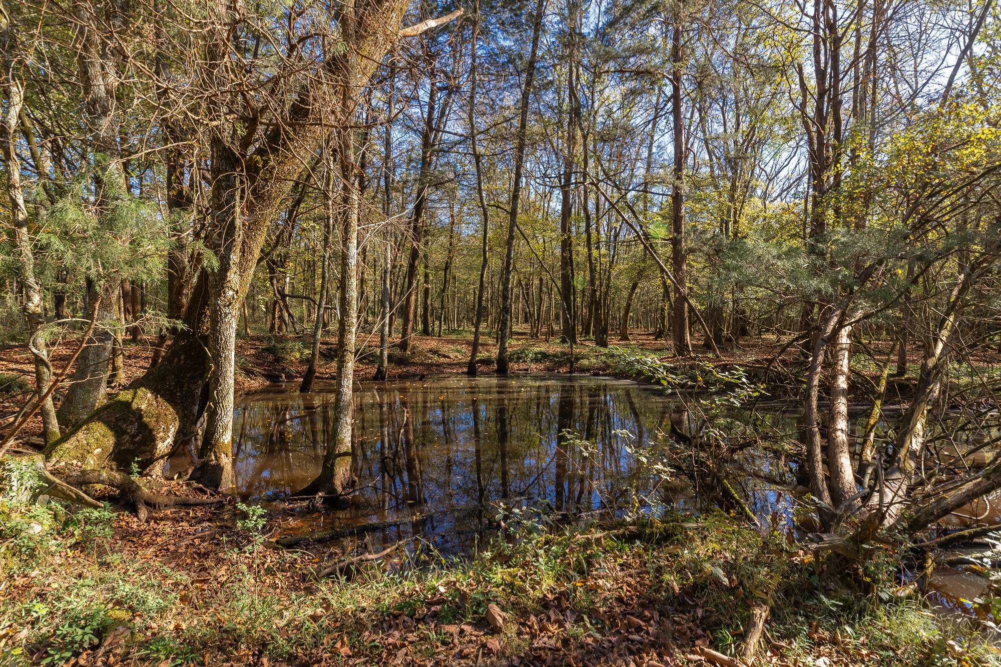 5455 Rucker Christiana Road Christiana, TN 37037 - Photo 14 of 30 Gallery Image 14