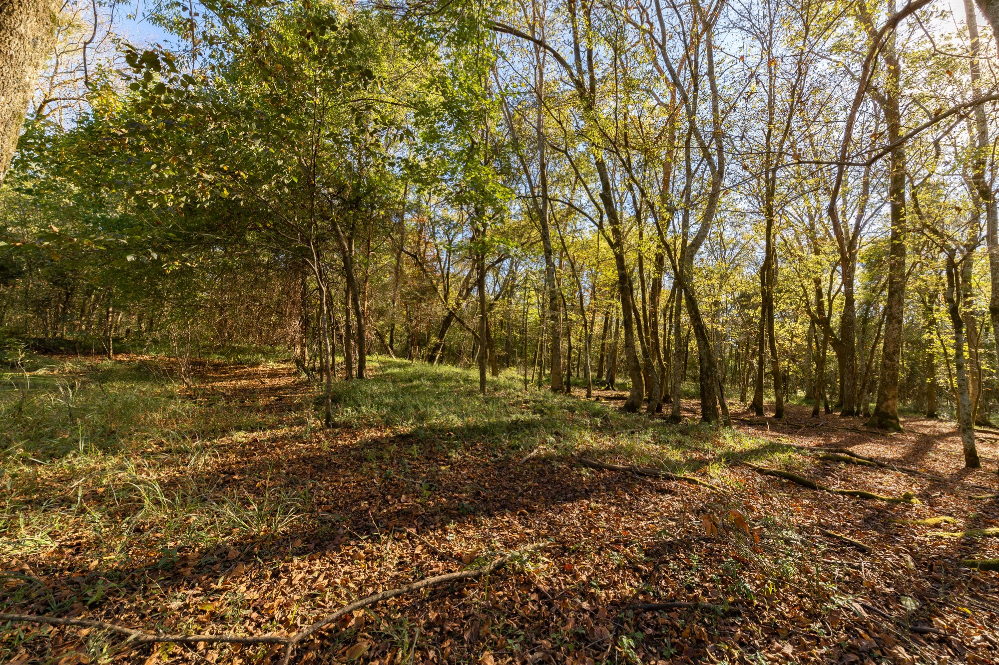 5455 Rucker Christiana Road Christiana, TN 37037 - Photo 3 of 30 Gallery Image 3