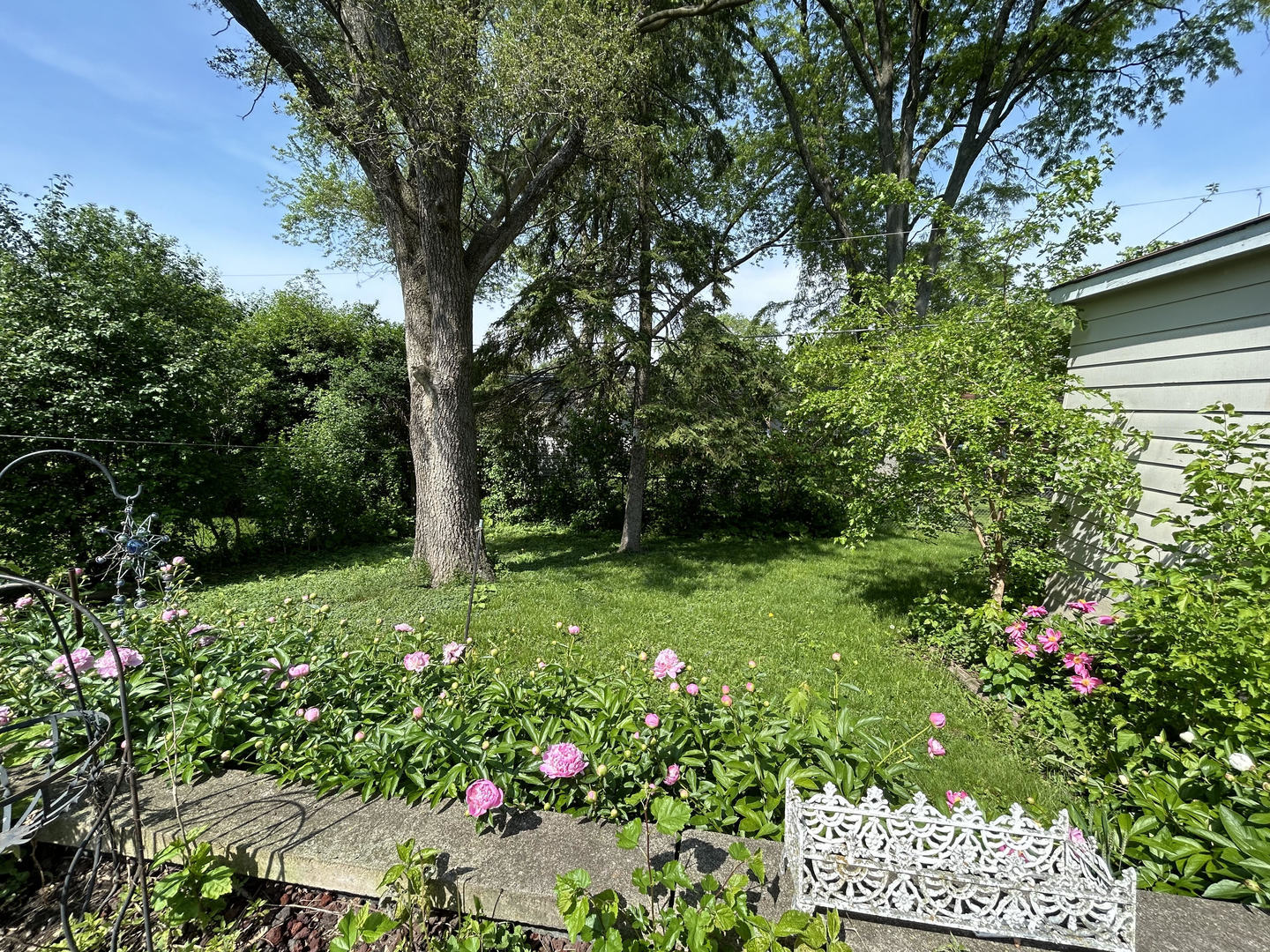 328 Raupp Boulevard Buffalo Grove, IL 60089 - Photo 16 of 22 a view of a garden with plants and large trees