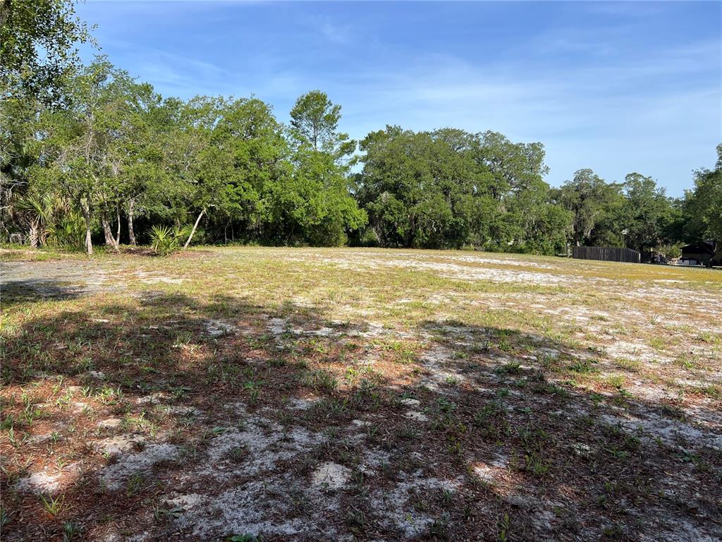 Ranchero Road DeLand, FL 32720 - Photo 6 of 10 Gallery Image 6