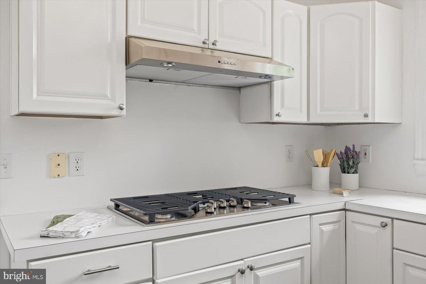 274 A Aaron Mountain Road Castleton, VA 22716 - Photo 18 of 76 Sleek kitchen with modern appliances.