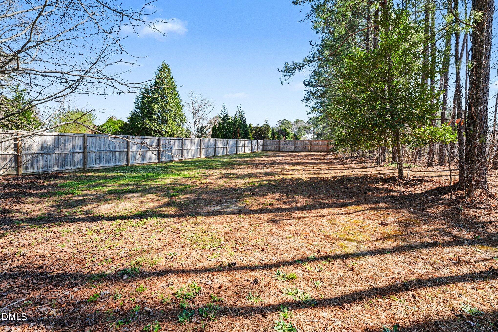 51 East Dentaires Way Willow Spring, NC 27592 - Photo 39 of 39 a view of a backyard
