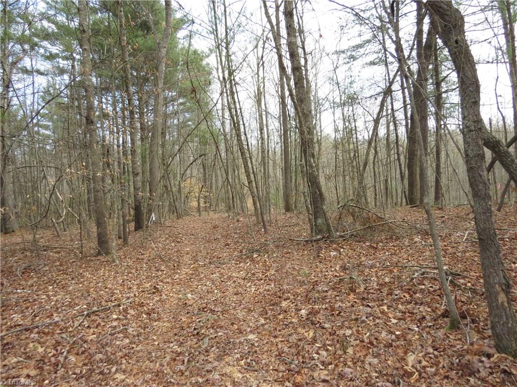 3 Gunters Hill Road Boomer, NC 28606 - Photo 22 of 26 Gallery Image 22