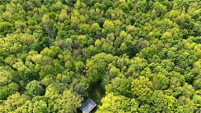 $135,900 | Undisclosed Address, Ischua, NY 14743