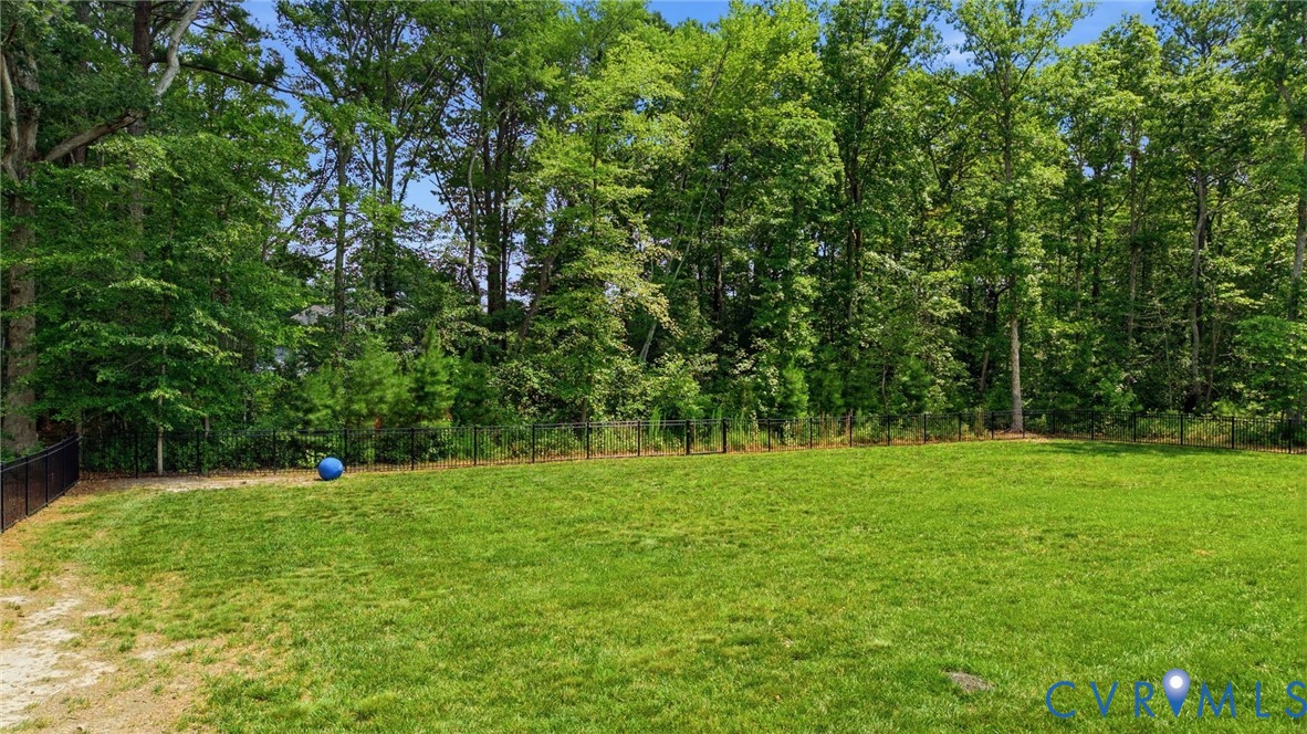 12040 Kenton Ridge Road Ashland, VA 23005 - Photo 48 of 54 Expansive grassy lawn bordered by mature trees and