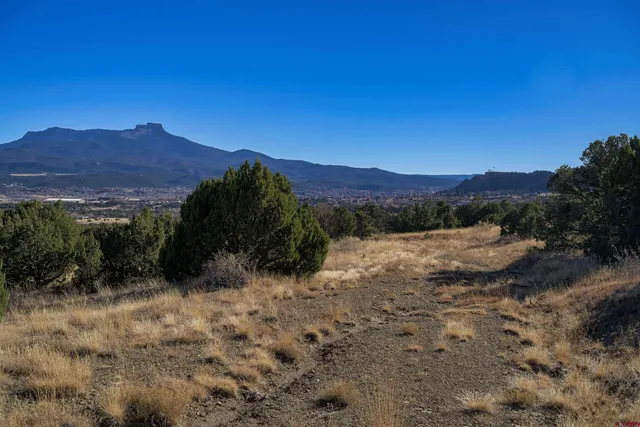 a view of a dry yard with mountains in the background
