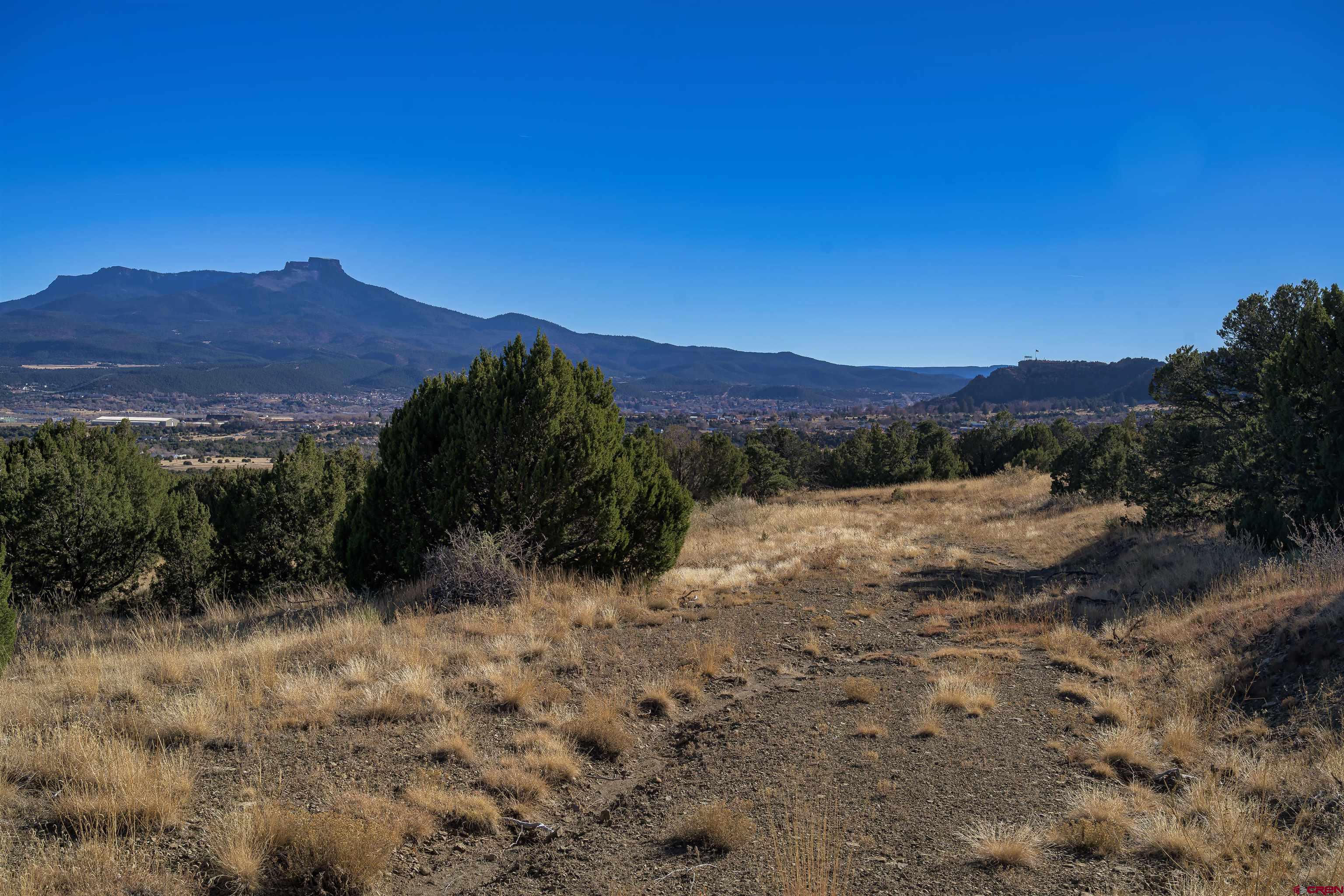 a view of a dry yard with mountains in the background