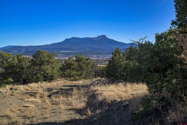a view of a forest with mountains in the background