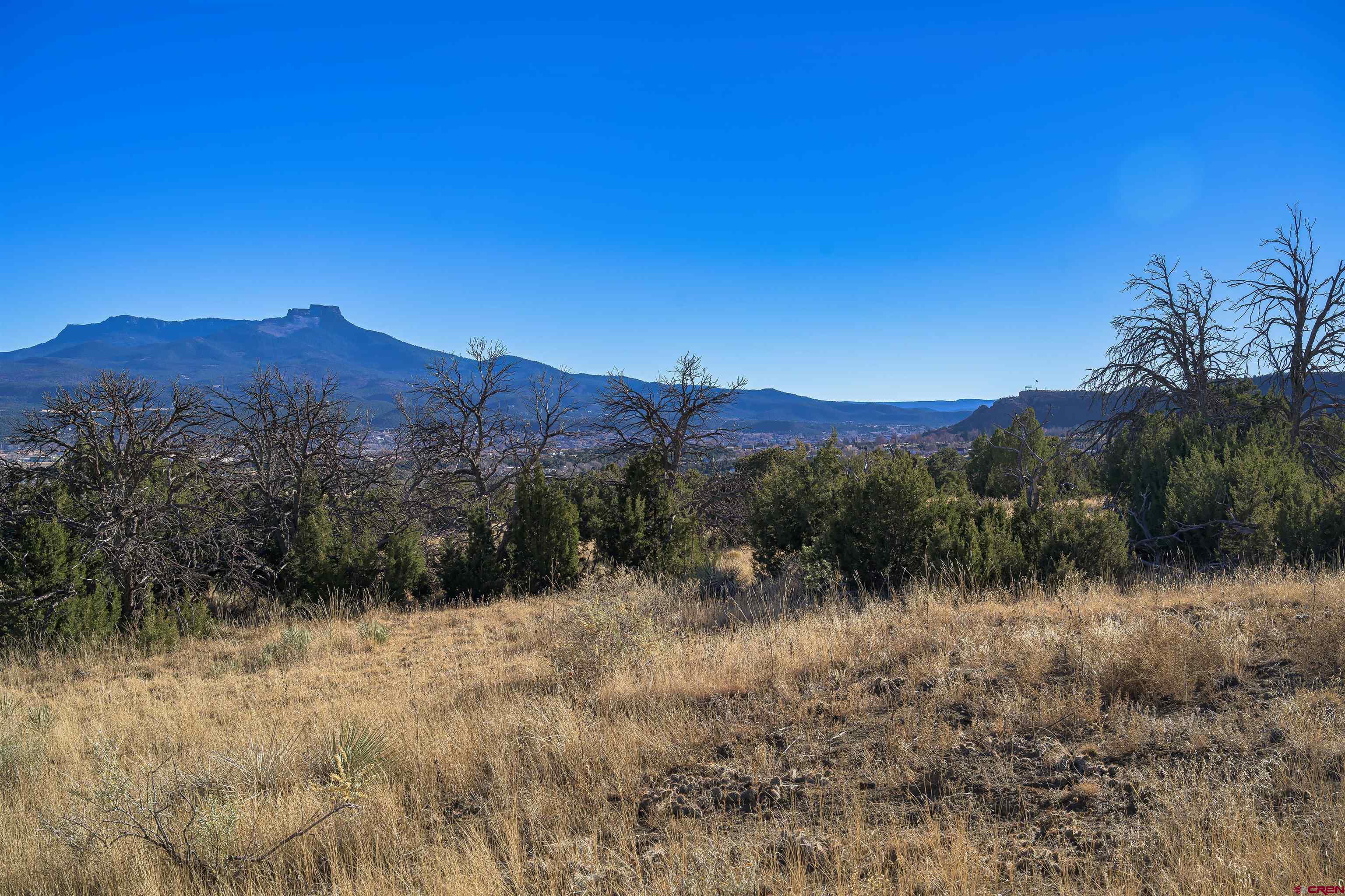 15311 Rancho Verde Road Trinidad, CO 81082 - Photo 12 of 40 Gallery Image 12