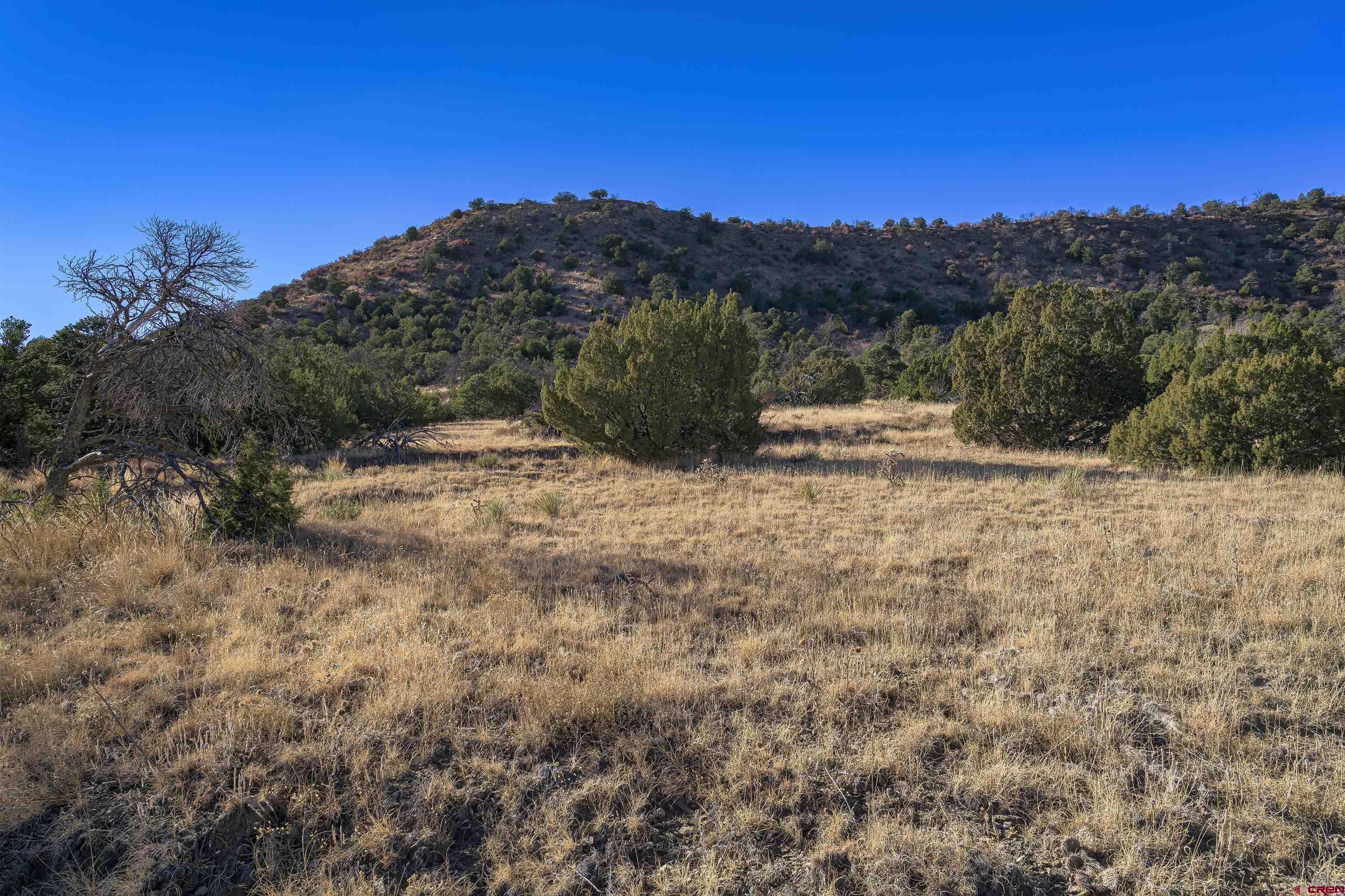 15311 Rancho Verde Road Trinidad, CO 81082 - Photo 20 of 40 Gallery Image 20