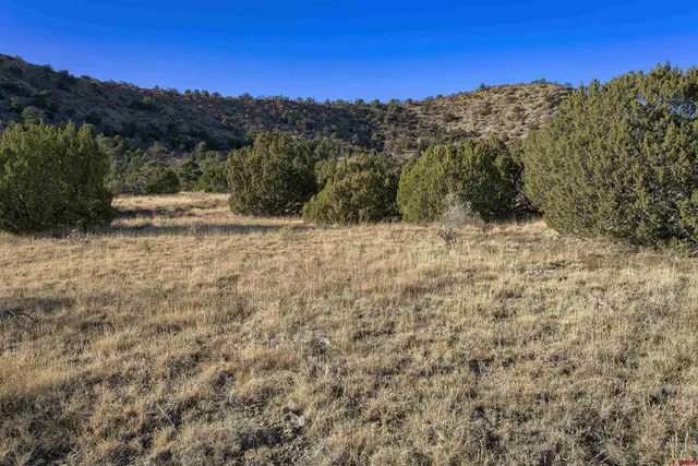 a view of a dry yard with mountains in the background