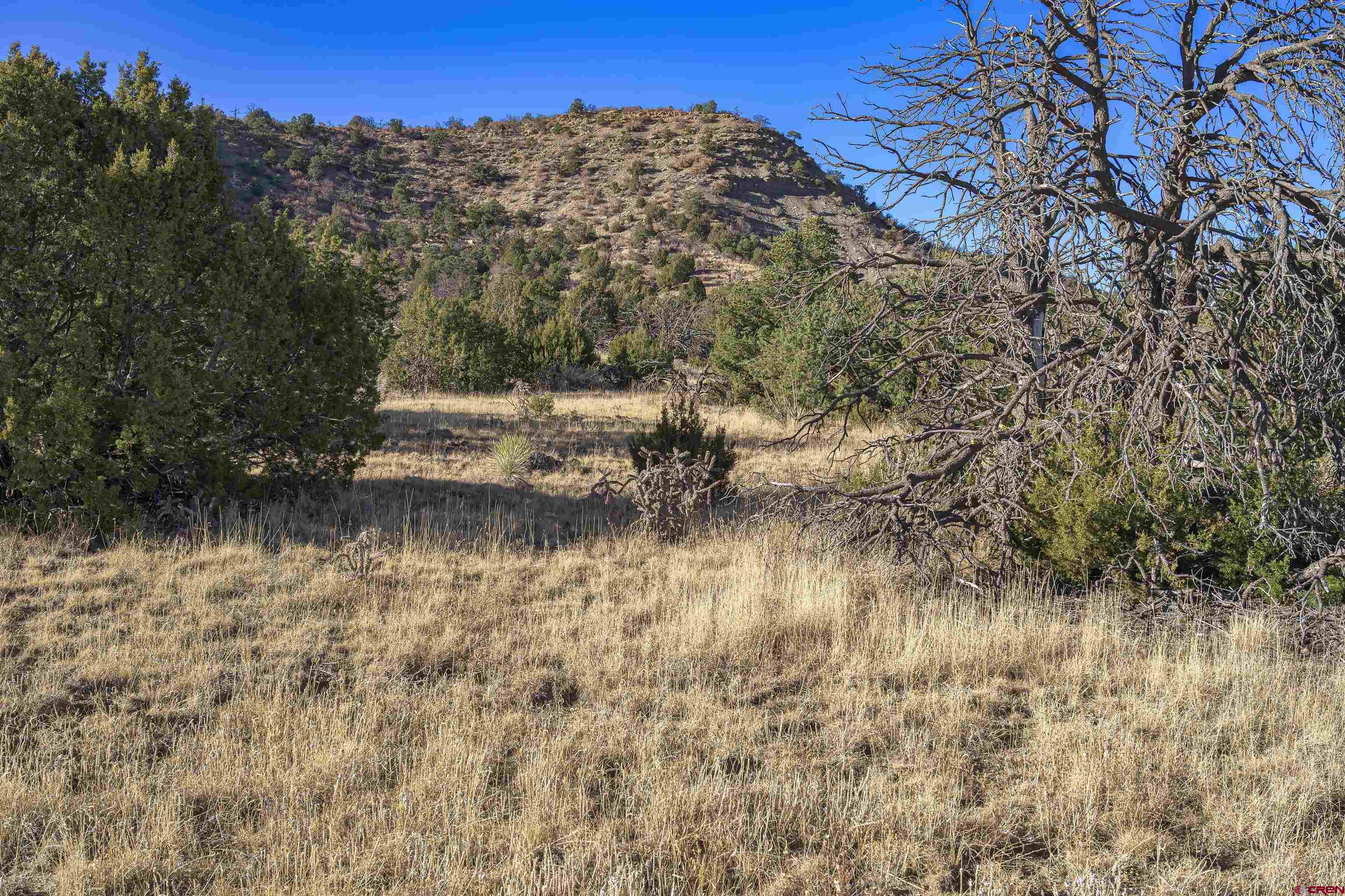 15311 Rancho Verde Road Trinidad, CO 81082 - Photo 24 of 40 Gallery Image 24