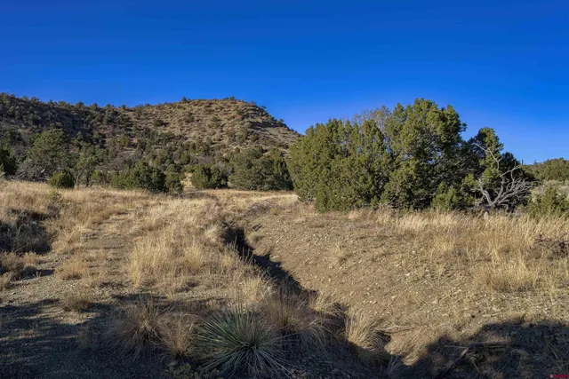 a view of a lake with a mountain in the background