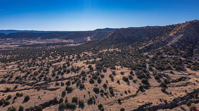 an aerial view of residential house and green space