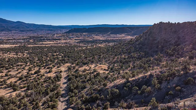 an aerial view of residential house and green space