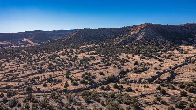a view of a small yard