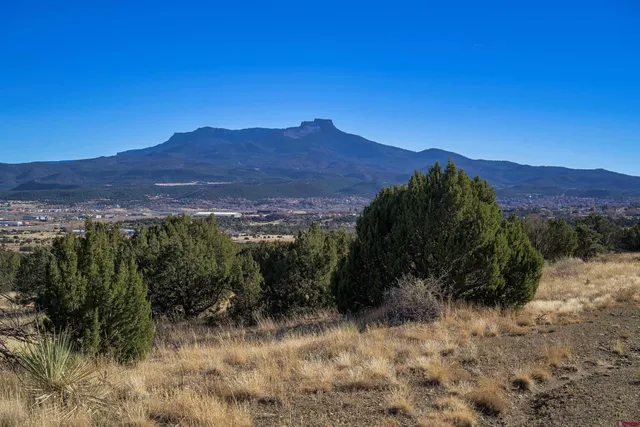 a view of a house with a mountain