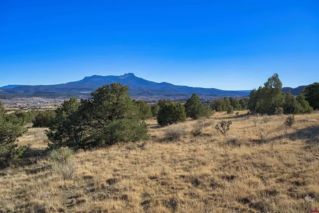 a view of a dry yard with mountains