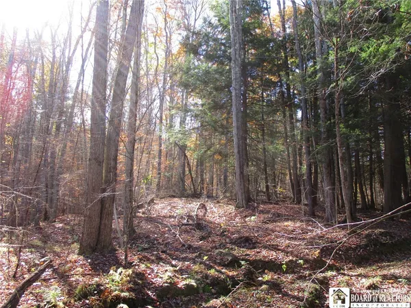 $229,000 | Gordon Brook, Scio, NY 14880