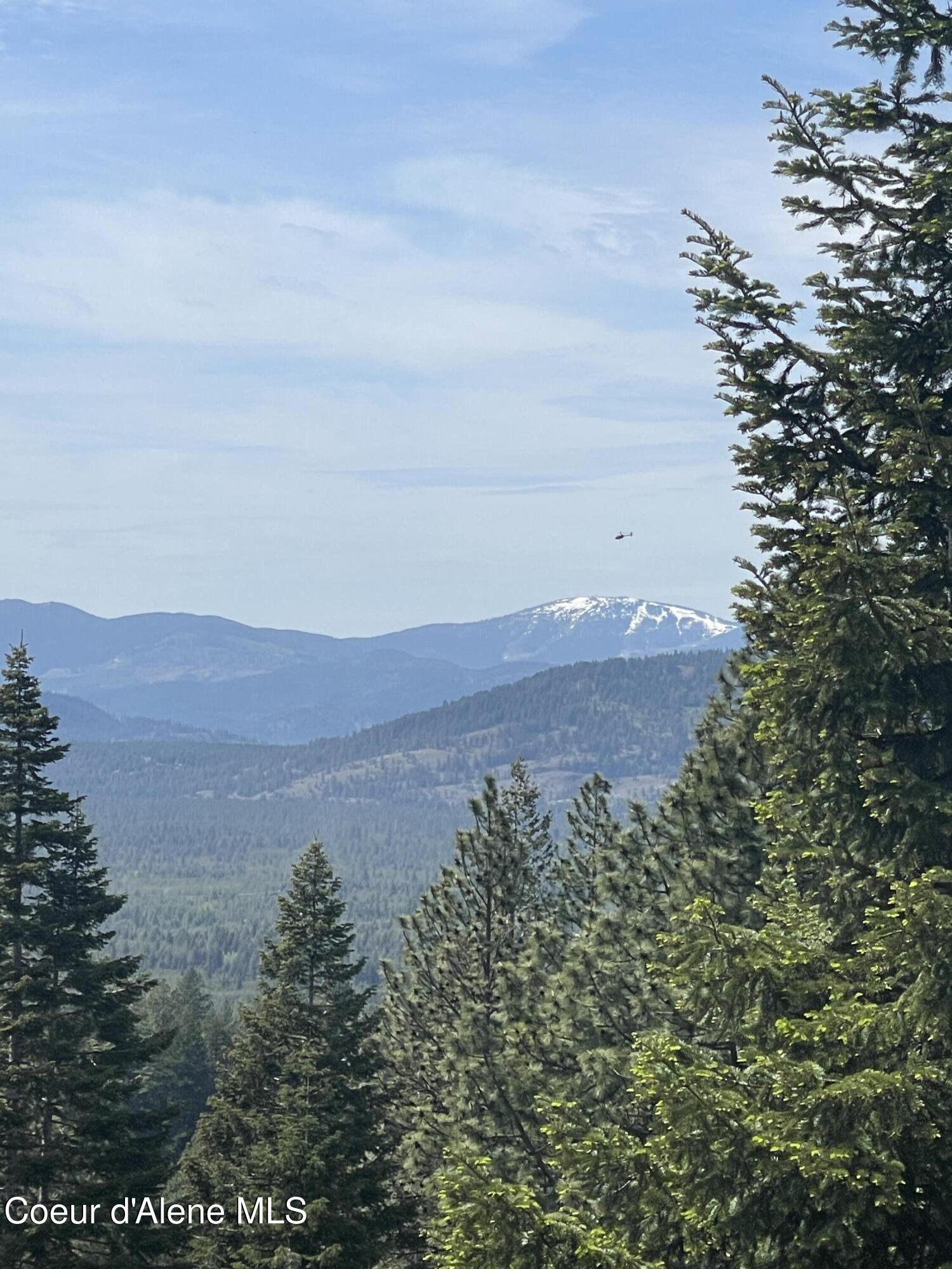 21160 North Corbin Hill Road Hayden, ID 83835 - Photo 83 of 85 IMG_1113