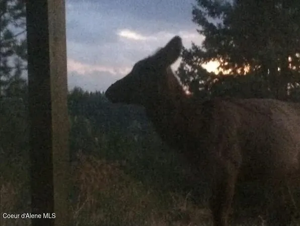 $699,950 | 21160 North Corbin Hill Road, Hayden, ID 83835