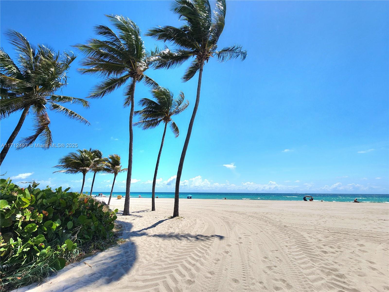 1504 South Surf Road, Unit 57 Hollywood, FL 33019 - Photo 26 of 27 a view of a street