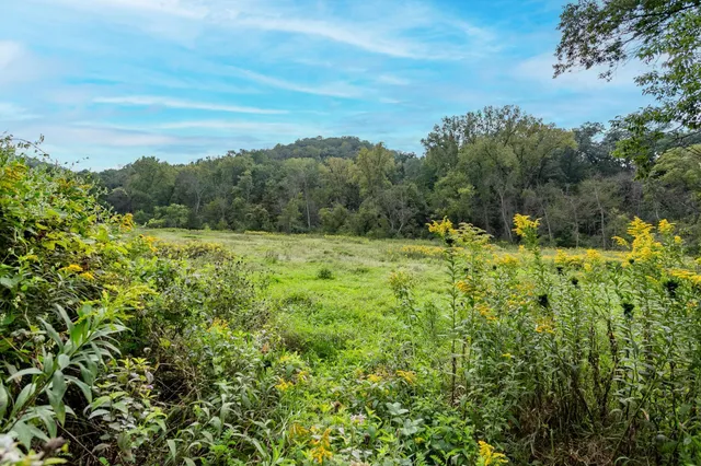 $395,000 | Tbd County Trunk Hwy Aa, Stockholm, WI 54769