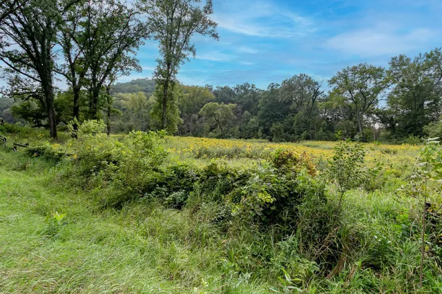 $395,000 | Tbd County Trunk Hwy Aa, Stockholm, WI 54769