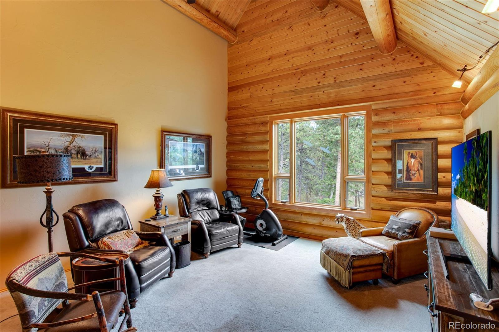 427 Wilderness Ridge Way Bellvue, CO 80512 - Photo 25 of 50 a living room with furniture a flat screen tv and floor to ceiling windows